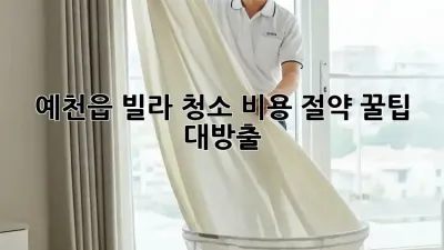 예천읍 빌라 청소🧹 비용 절약 꿀팁 대방출! ✨